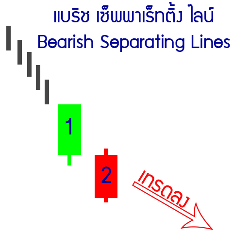 22-down-Bearish-Separating-Lines